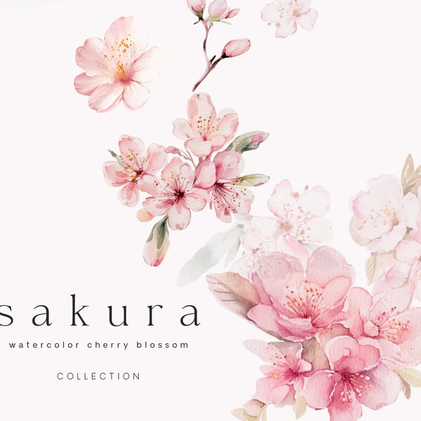 Aquarell Kirschblüten - Kirschblüten Clipart - Sakura Clipart - Blumenrahmen - Blumenkränze - Frühling Clipart - Blumen Clipart