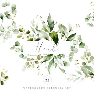 Clipart aquarelle verdure - Clipart verdure - Eucalyptus Clipart - Clipart botanique - Clipart mariage-Premade Clipart-aquarelle Clipart