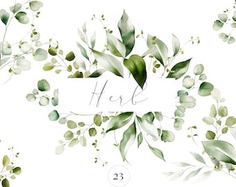 Puede incluir: Ilustración de acuarela de un conjunto de 23 hierbas verdes de hoja. La ilustración está etiquetada como "Herb" y "Watercolor Greenery Set".