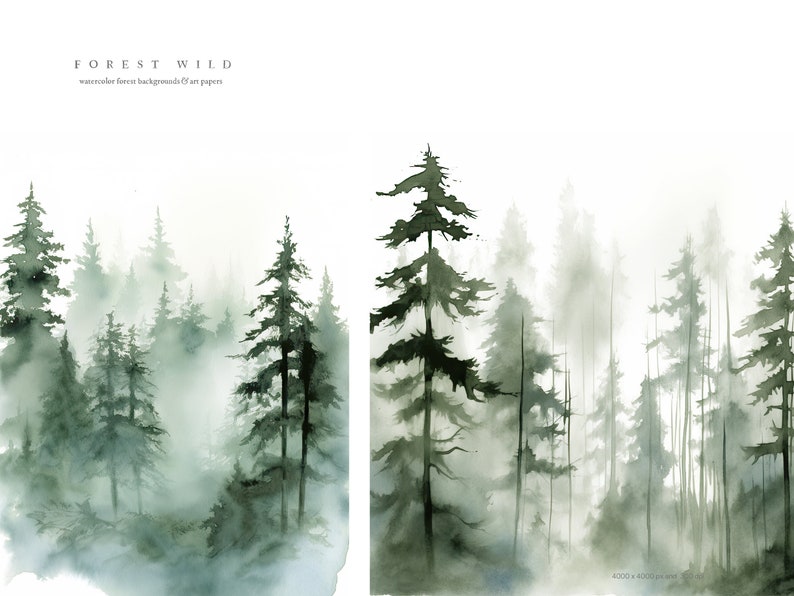 May include: Two watercolor paintings of a misty forest with tall, dark green pine trees. The text "FOREST WILD" and "watercolor forest backgrounds & art papers" is at the top of the image.
