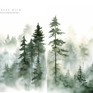 May include: Watercolor painting of a misty forest with tall, dark green pine trees. The trees are silhouetted against a white background, creating a sense of depth and mystery. The painting is titled "FOREST WILD" and includes the text "watercolor forest backgrounds & art papers".