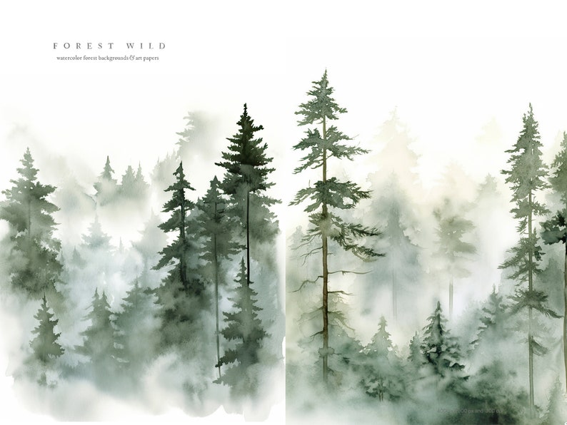 May include: Watercolor painting of a misty forest with tall, dark green pine trees. The trees are silhouetted against a white background, creating a sense of depth and mystery. The painting is titled "FOREST WILD" and includes the text "watercolor forest backgrounds & art papers".