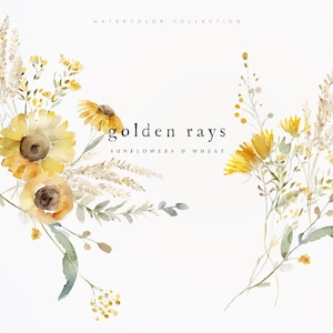 Girasoli Clipart - Girasoli acquerello - Girasoli di grano Clipart - Clipart estate - Girasoli - Clipart premade - Clipart acquerello