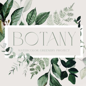 Aquarel bloemen clipart, bloemen clipart, botanische clipart, aquarel botanische clipart, digitale clipart, clipart, groen clipart, digitaal