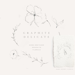 Flores delicadas desenhadas à mão - Flores elegantes de grafite - Clipart floral - Flores desenhadas à mão - Florais de arte em linha - Clipart de arte em linha