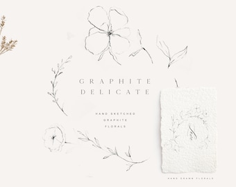 Delicate Hand Sketched Flowers - Elegant Graphite Flowers - Floral Clipart - Hand Drawn Flowers - Line art Florals - Line Art Clipart