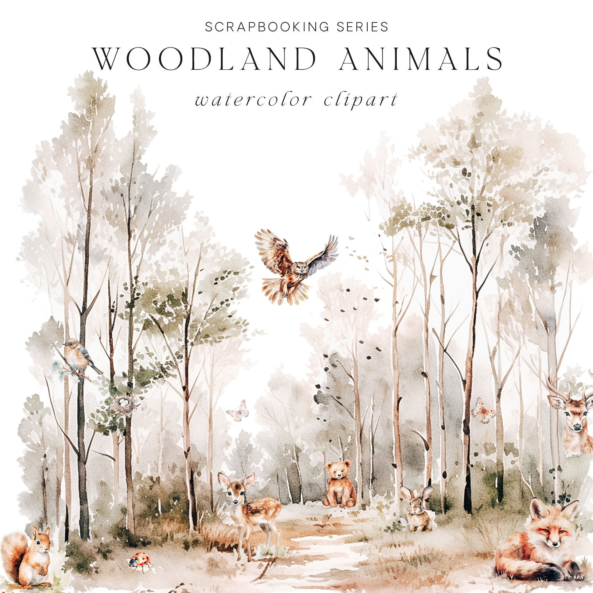 Woodland Watercolors and Pad Bundle