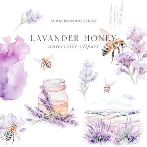 Clipart aquarelle lavande - Clipart abeilles - lavande - paysages lavande - Clipart aquarelle - éclaboussures d'aquarelle - abeilles