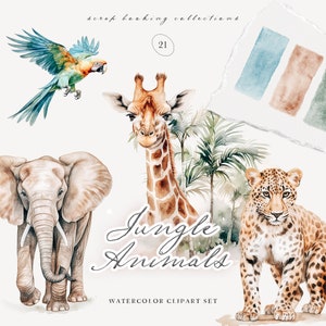 Aquarel Jungle Dieren Clipart - Aquarel Clipart - Jungle Clipart - Stickers Clipart - Scrapbooking Clipart - Kwekerij Clipart - Jungle