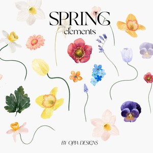 May include: A collection of watercolour illustrations of spring flowers, including daffodils, tulips, forget-me-nots, pansies, and anemones. The illustrations are in various colours, including yellow, pink, blue, purple, and red. The text "SPRING elements" is written in black at the top of the image. The text "BY OPIA DESIGNS" is written in black at the bottom of the image.