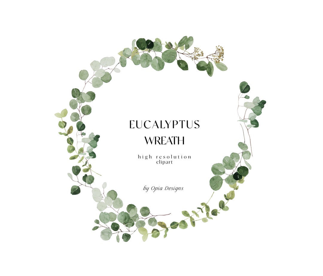 Eucalyptus Wreath Eucalyptus Clipart Watercolor Clipart - Etsy