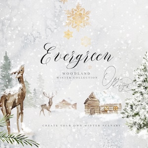 Evergreen - Collezione Winter Woodland - Clipart Woodland - Paesaggi invernali - Inverno acquerello - Natale acquerello - Boschi acquerello