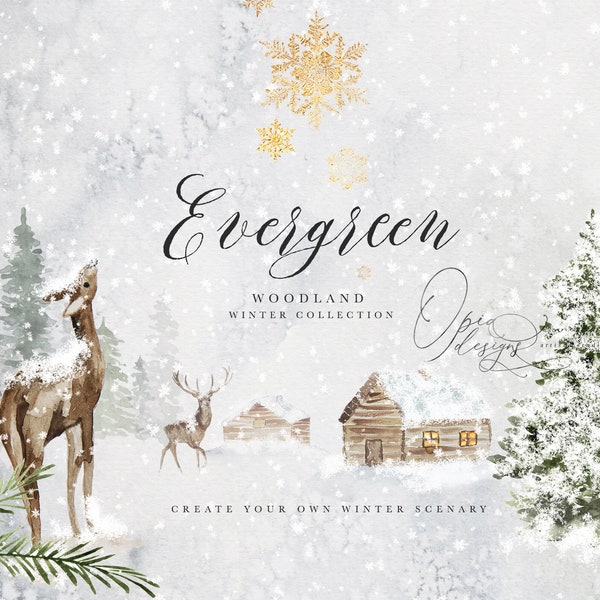 Evergreen - Collezione Winter Woodland - Clipart Woodland - Paesaggi invernali - Inverno acquerello - Natale acquerello - Boschi acquerello