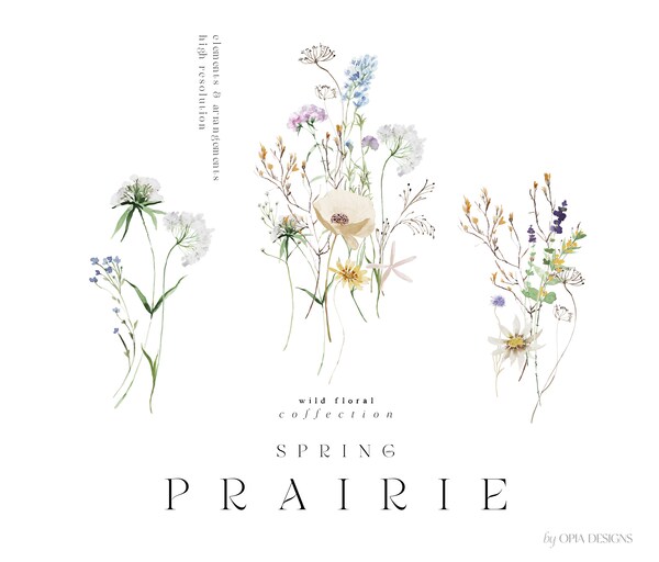 Fine Line Design Elements Clipart Black Rose Flower Line Art Etsy Canada