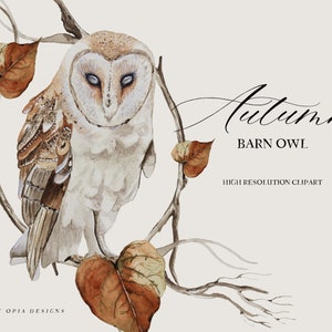Clipart automne chouette effraie des cloches - aquarelle hibou - clipart chambre d'enfant - aquarelle chambre d'enfant - aquarelle des bois - cliparts des bois - animaux de la forêt