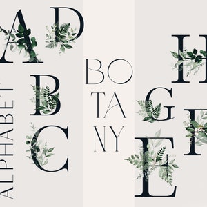 Alphabet botanique, alphabet floral, clipart Alphabet, clipart Alphabet aquarelle, clipart floral, clipart lettrage, clipart chiffres floraux