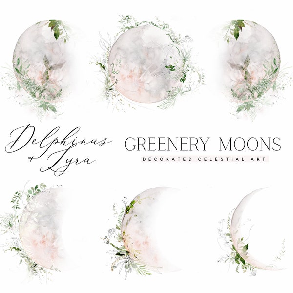 Greenery Moon Phases - Watercolor Moon - Watercolor Moon Phases - Moon clipart - Decorated Moon - Blush Moon - Celestial Clipart