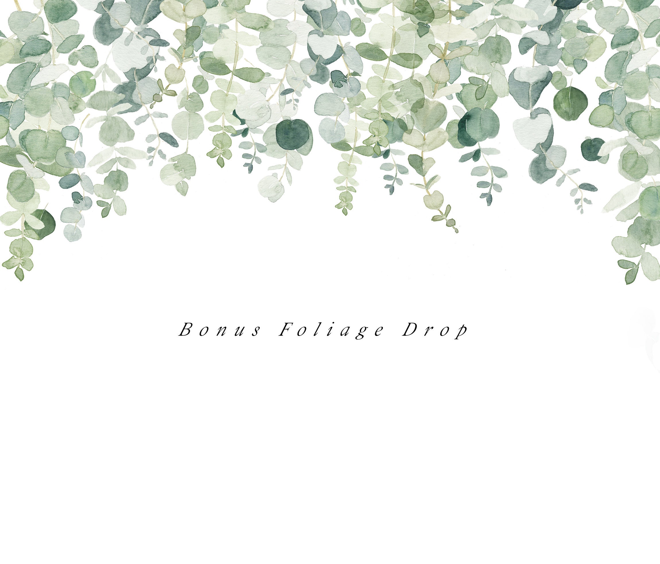 Watercolor Eucalyptus Clipart - Baby Blue Eucalyptus - Greenery Clipart ...