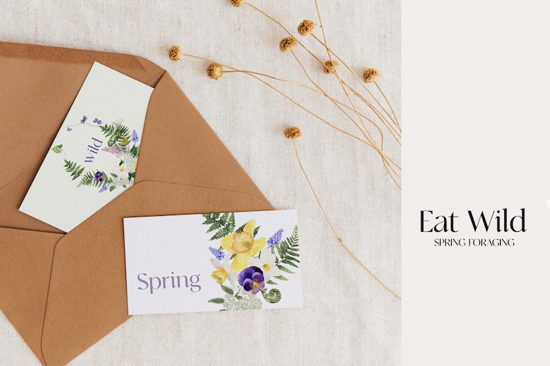 May include: Two cards with floral designs and the text "Wild" and "Spring" on a brown envelope. The envelope is on a white textured background with dried flowers.