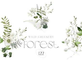 Watercolor Greenery Clipart - Greenery Foliage - Greenery Arrangements - Greenery Watercolor - Forest Greenery - Foliage - Wreaths - Woods