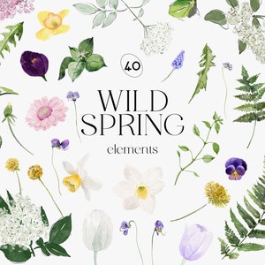 May include: A collection of 40 watercolor illustrations of wild spring flowers, leaves, and plants. The illustrations include purple pansies, white daffodils, pink geraniums, green ferns, and white elderflowers.