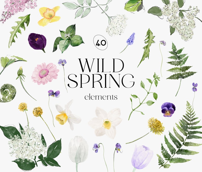 May include: A collection of 40 watercolor illustrations of wild spring flowers, leaves, and plants. The illustrations include purple pansies, white daffodils, pink geraniums, green ferns, and white elderflowers.