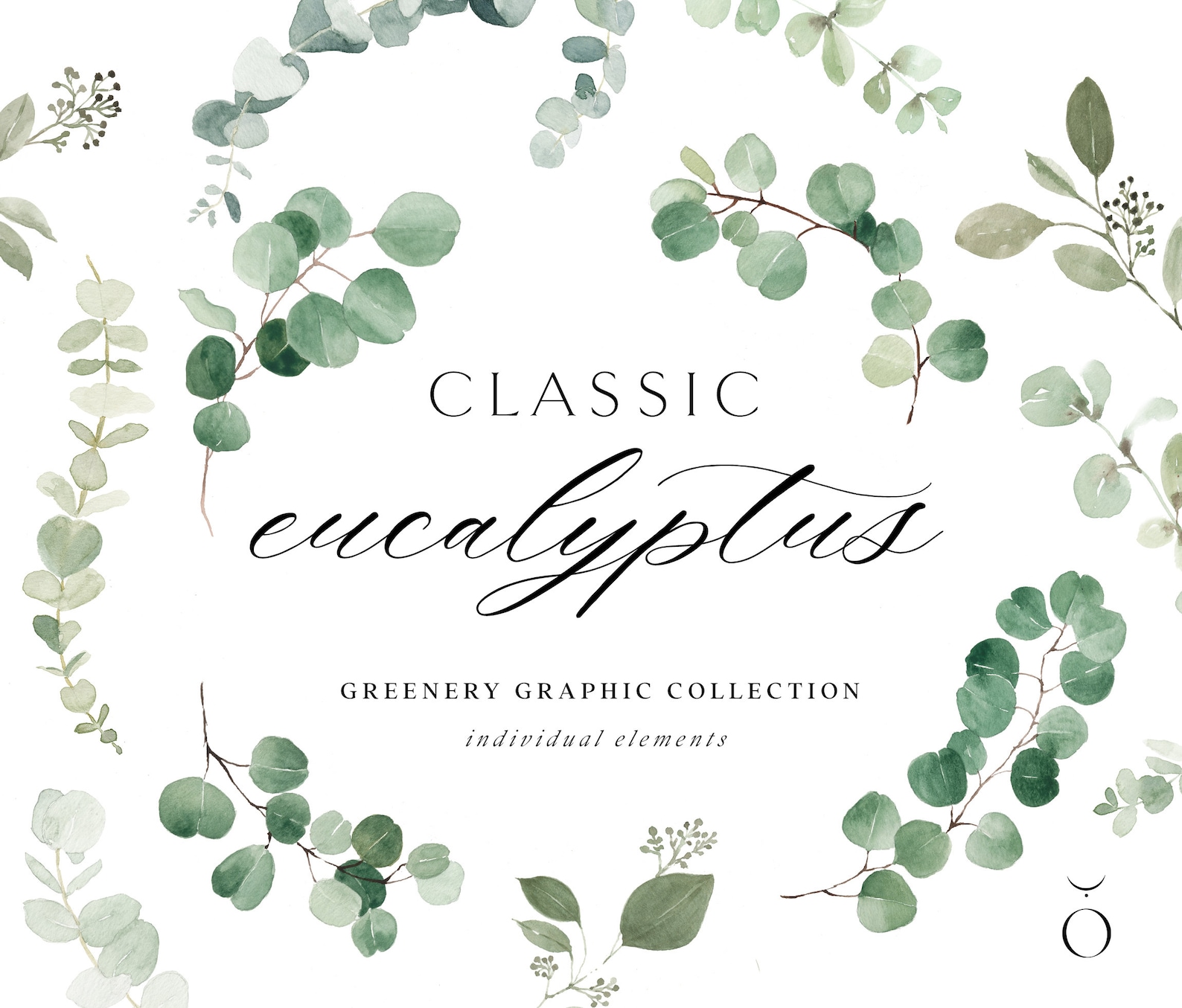 Watercolor Eucalyptus Clipart - Baby Blue Eucalyptus - Greenery Clipart ...