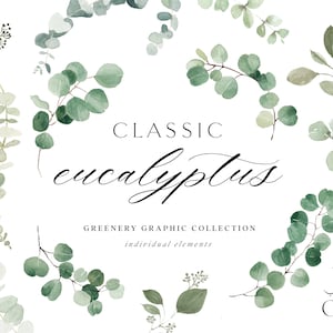 Watercolor Eucalyptus Clipart - Baby Blue Eucalyptus - Greenery Clipart - Individual Elements - Eucalyptus Clipart - Watercolor Greenery