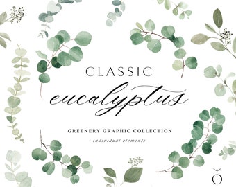 Watercolor Eucalyptus Clipart - Baby Blue Eucalyptus - Greenery Clipart - Individual Elements - Eucalyptus Clipart - Watercolor Greenery