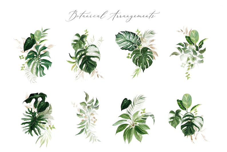 Puede incluir: Ocho ilustraciones de acuarela de diferentes arreglos bot&aacute;nicos con hojas y follaje verdes. Las ilustraciones est&aacute;n dispuestas en una cuadr&iacute;cula sobre un fondo blanco. El texto "Botanical Arrangements" est&aacute; escrito en cursiva en la parte superior de la imagen.