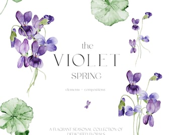 Violet Blumen Clipart - Frühling Clipart - Frühlingsblumen - Frühlingsblumen - Veilchen - Aquarell Veilchen - Aquarell Frühling Clipart