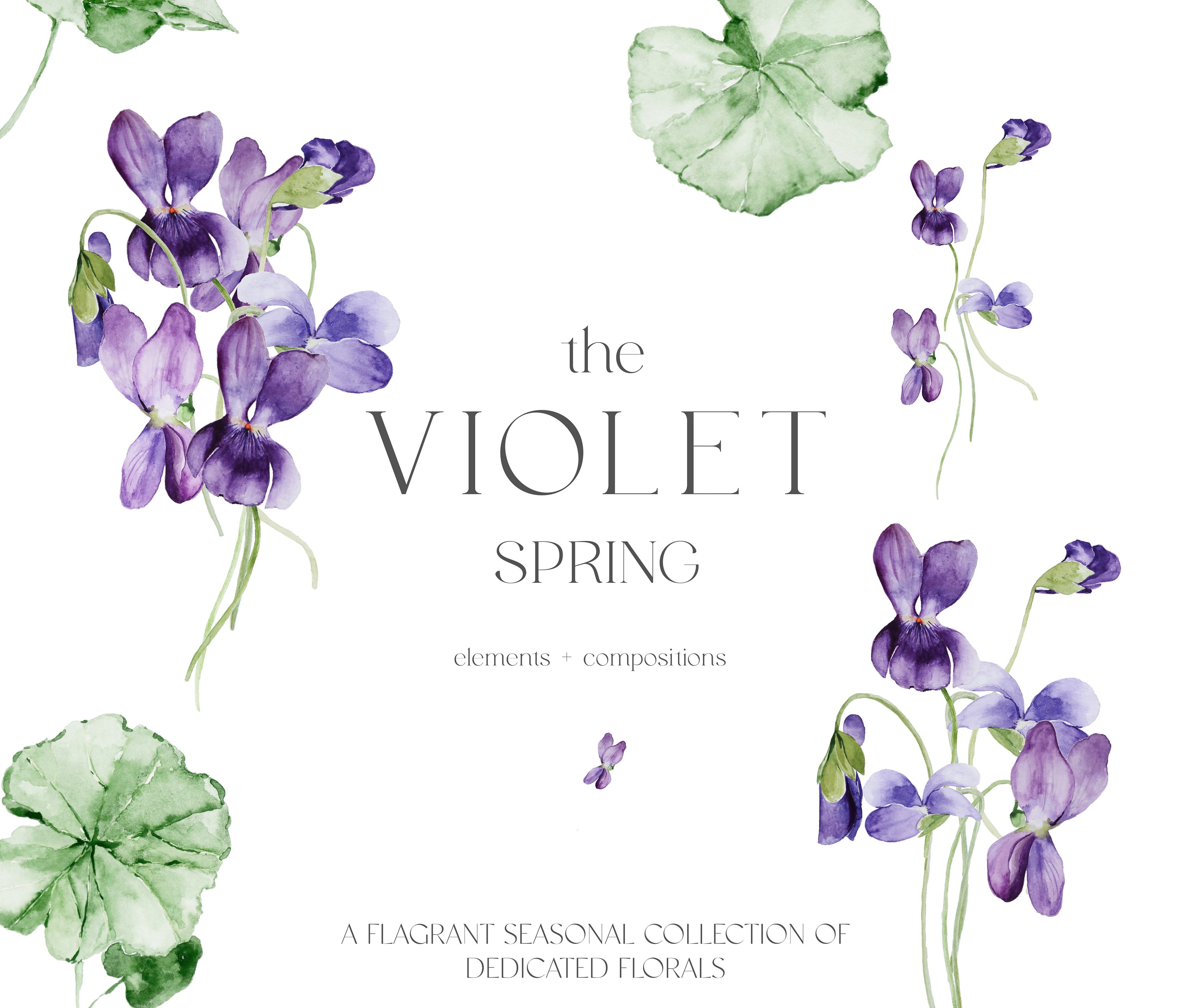 Free Printable Violet (Viola) Flower Stencils and Silhouettes - Free  Printable Stencils