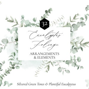 Eukalyptus Aquarell Clipart - Grün Clipart - Salbei Grün - Eukalyptus Grün - Grünes Laub - Grün - Aquarell Grün