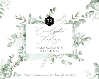 May include: A digital illustration of 32 watercolor eucalyptus foliage arrangements and elements. The image features a white background with green eucalyptus leaves and branches. The text "Eucalyptus Foliage" is written in cursive script with the words "Arrangements & Elements" below it. The text "Silvered Green Tones & Plantiful Eucalyptus" is at the bottom of the image.