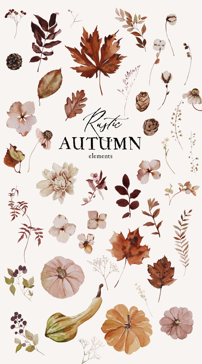 Op de afbeelding: Een verzameling aquarel illustraties met herfstthema, waaronder bladeren, bloemen, pompoenen, pompoenen en bessen. De illustraties zijn in tinten bruin, oranje, roze en groen. De tekst "Rustic Autumn elements" is geschreven in zwarte cursieve letters.