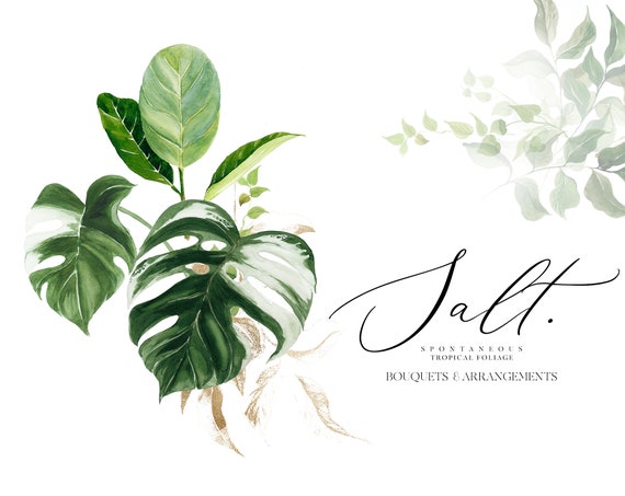 Watercolor Tropical Clipart - Tropical Arrangements - Monstera Clipart - Palm Leaf Clipart - Exotic Clipart - Exotic Greenery - Greenery