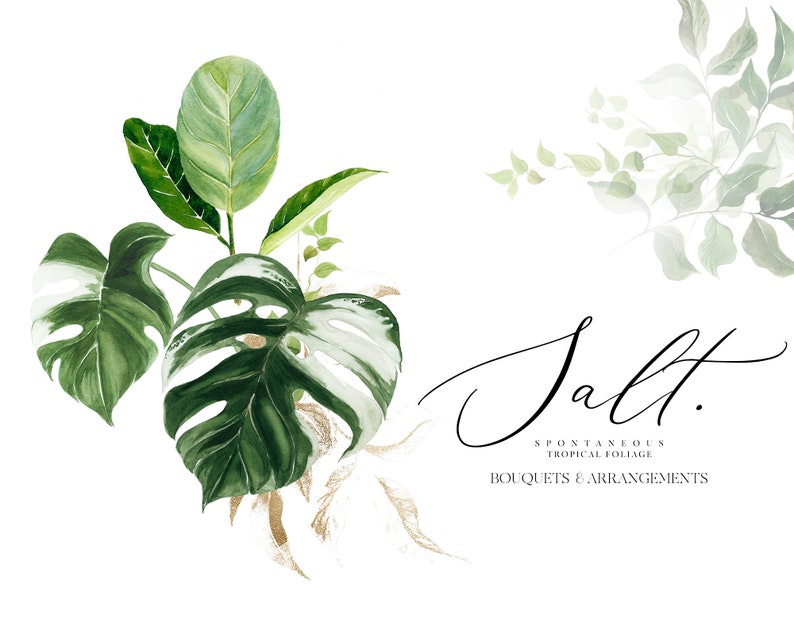 Puede incluir: Pintura acuarela de follaje tropical, incluyendo hojas de monstera, con un acento dorado. El texto "Salt. Spontaneous Tropical Foliage Bouquets & Arrangements" est&aacute; escrito en cursiva debajo del follaje.
