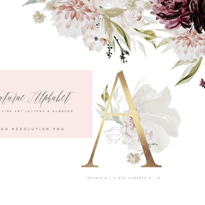 Alfabeto floral de acuarela - Imágenes prediseñadas de letras - Letras florales - Alfabeto de oro - Letras de oro - Imágenes prediseñadas florales - Acuarela rubor de Borgoña