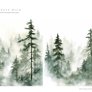 May include: Watercolor painting of a misty forest with tall evergreen trees. The painting is in shades of green and white, with a white background. The text "FOREST WILD" is at the top of the painting.