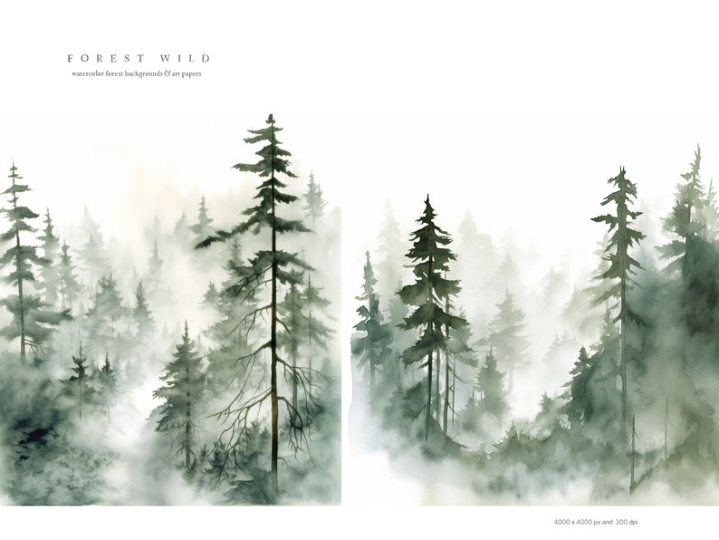 May include: Watercolor painting of a misty forest with tall evergreen trees. The painting is in shades of green and white, with a white background. The text "FOREST WILD" is at the top of the painting.