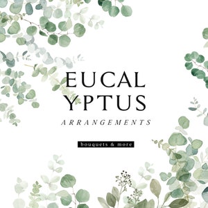 Acquerello verde eucalipto Clipart - Bouquet di eucalipto - Clipart verde - Clipart di eucalipto - Fogliame verde - Foglie verdi