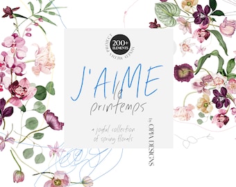Clipart floral aquarela, clipart de primavera - tulipas - clipart moderno, clipart de buquês botânicos, clipart botânico, clipart de primavera
