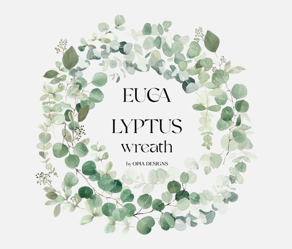 Eucalyptus Watercolor Clipart Watercolor Eucalyptus | Etsy