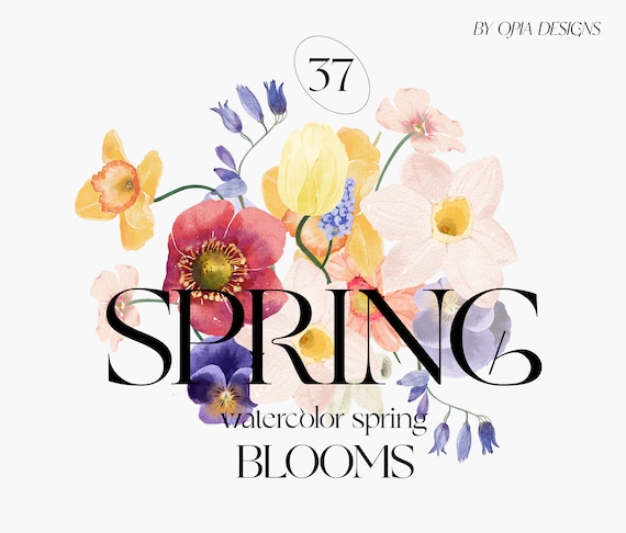 Watercolor Spring Flowers - Spring Clipart - Spring Blooms - Watercolor Flowers - Wedding Flowers - Pastel - Wild Flowers - Daffodil