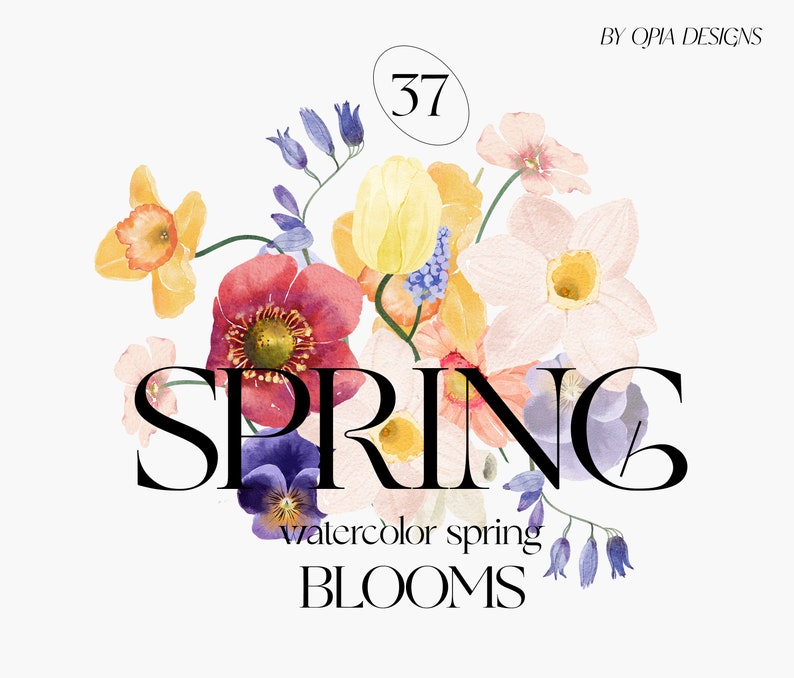May include: Watercolour illustration of spring flowers in shades of pink, yellow, red, blue, and purple. The flowers are arranged in a bouquet and the text "SPRING watercolour spring BLOOMS" is written below the flowers.