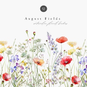 Aquarelle fleurs des champs d'été - aquarelle champs de pavots - bordures premade - bordures florales - fleurs sauvages d'été - clipart floral sauvage