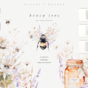 Clipart abeille aquarelle - Clipart abeille - Clipart floral - abeille aquarelle - Clipart floral sauvage - Clipart premade - Clipart aquarelle