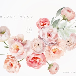 Blush Floral Clipart - Aquarelle Roses Clipart - Aquarelle Florale - Aquarelle Clipart - Mariage Clipart - Blush Roses - Premade Clipart