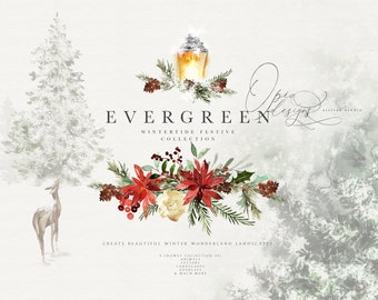 Evergreen - Wintertide Collection - Winter Clipart - Winter Woodland - Woodland Clipart - Woodland Christmas - Christmas Clipart
