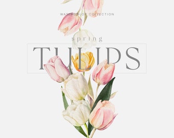 Watercolor Tulips Clipart - Tulips Clipart - Spring Clipart - Spring Tulips - Floral Clipart - Wedding Clipart -Premade Frames-Tulips Frames